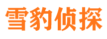 宾川市婚姻调查